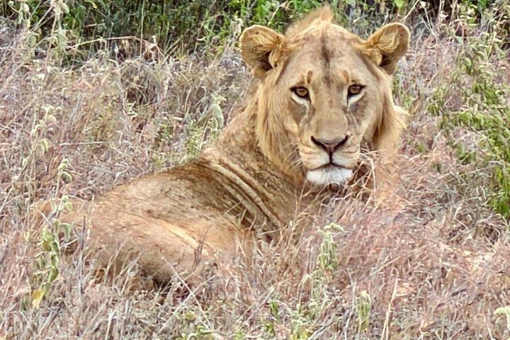 10 Day Kenya Safari Tour Adventure