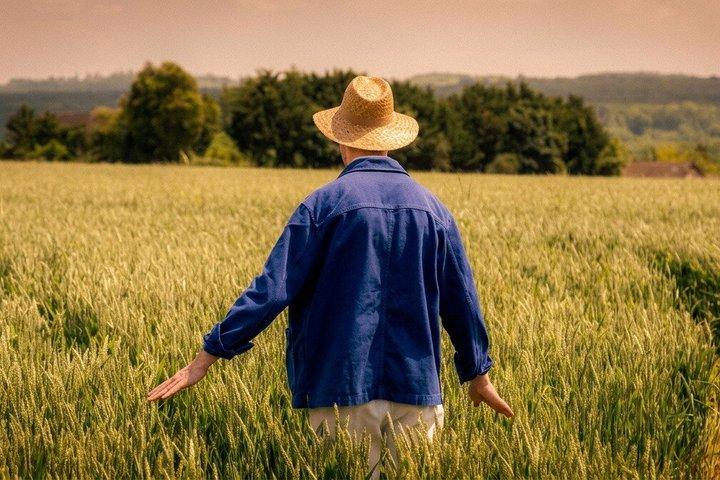 Unique Van Gogh immersive tour in Auvers sur Oise - 1.5 hours