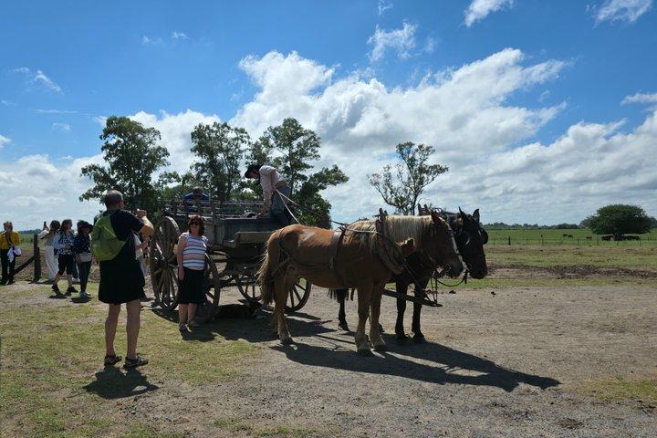 Gaucho Tour in Estancia Santa Susana from Buenos Aires