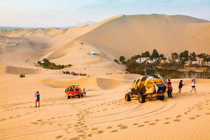 Tour Ballestas Islands and Buggy and Sandboard 2 hrs in Huacachina