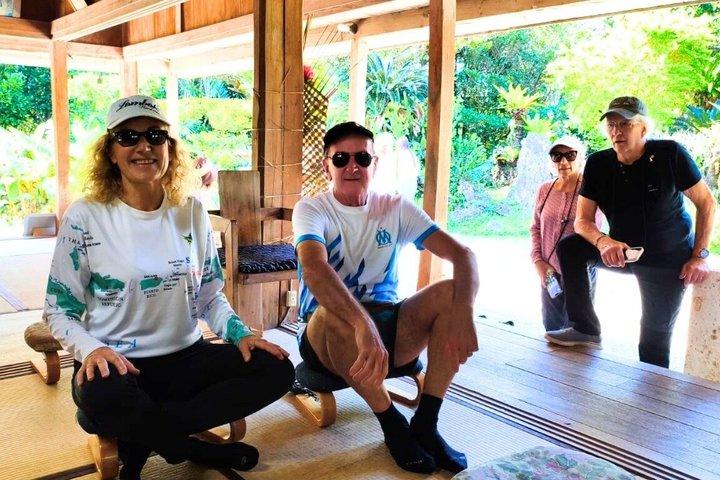 All-Inclusive Ishigaki Shore Excursion for Cruise Passengers
