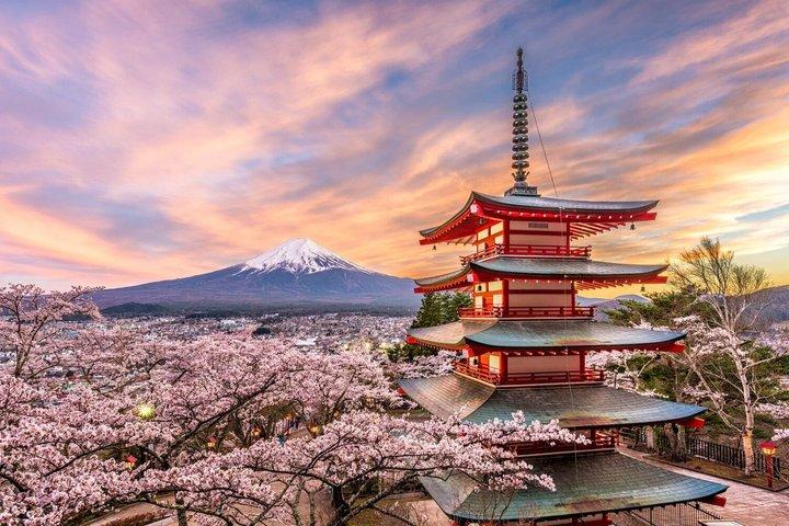 HND Airport Private Transfer to/from Tokyo City Center