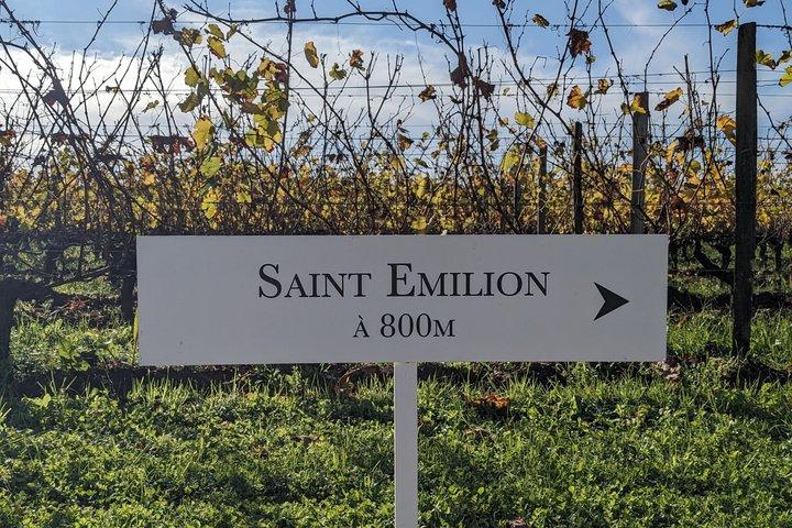 Full Day Saint-Emilion: 2 Wineries with Tastings + Village Tour