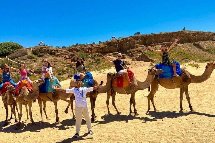 Tangier Full-Day Private Tour with Camel Ride Experience