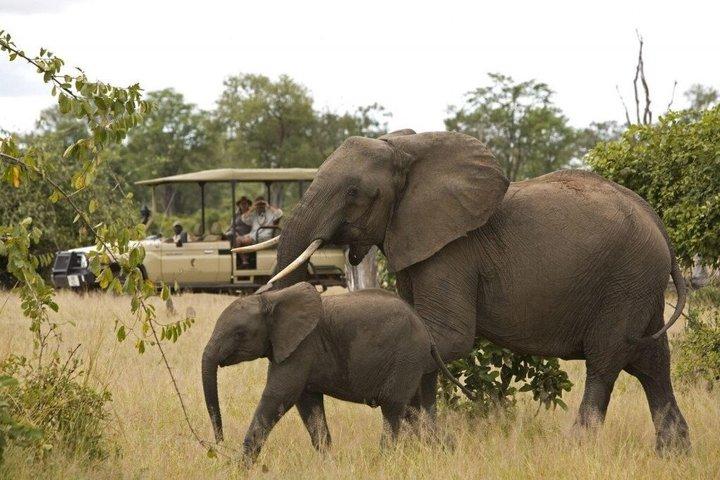 3 Day Garden Route Big 5 Safari Cango Caves Adventure Cape Town