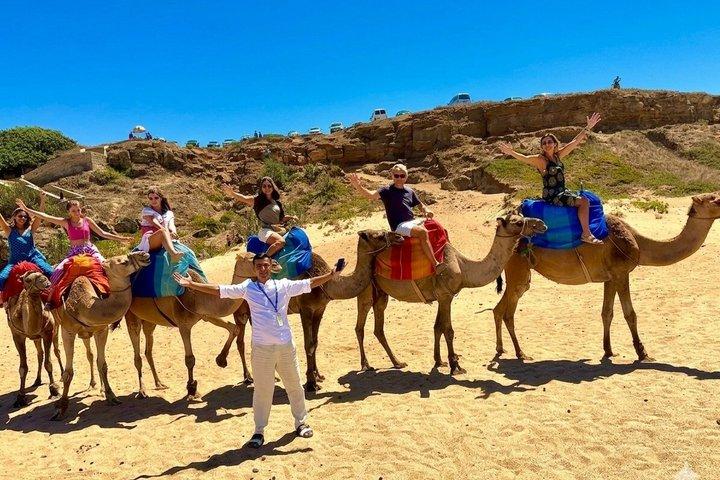 Tarifa to Tangier Day Trip: including Ferry, Camel Ride & Lunch