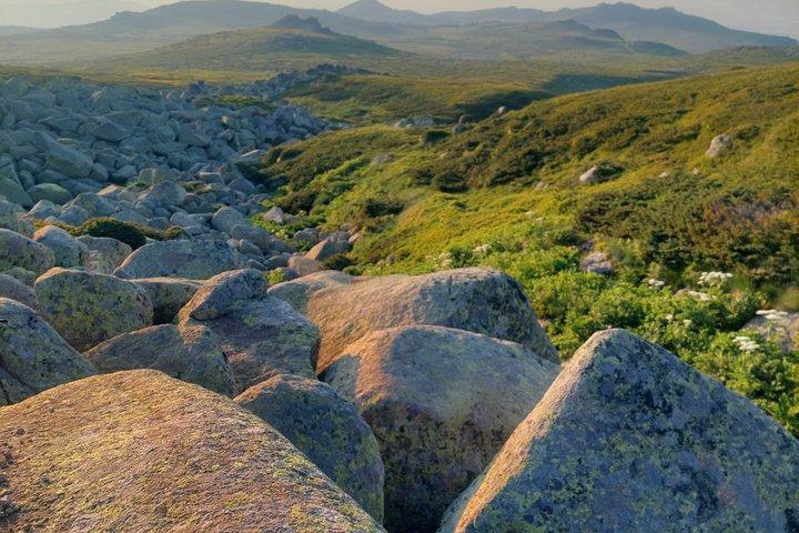 Sofia from above: Vitosha Mountain Nature Hike with Private Guide