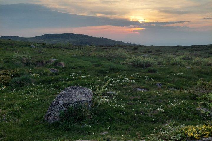 Sofia from above: Vitosha Mountain Nature Hike with Private Guide
