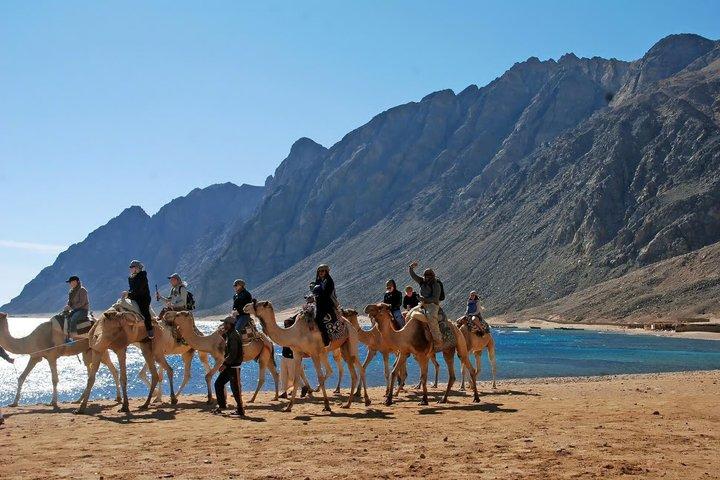 Sharm 3 Pools Dahab Tour, Quad, Camel, Red Canyon & Lunch