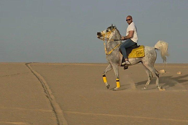 Horseback Riding Tour Siwa Oasis Sahara Desert(Sunset or Sunrise)
