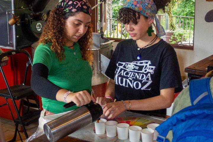 Puerto Rico Coffee Plantation & Waterfall River Tour