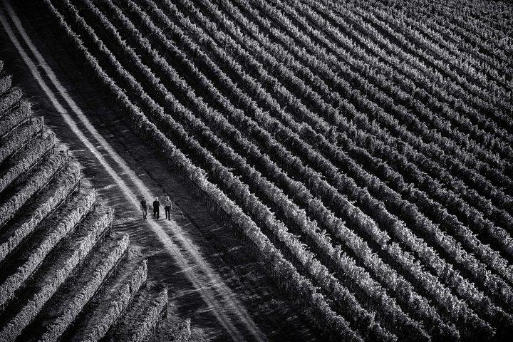 Vino Nobile di Montepulciano winery tour and tasting