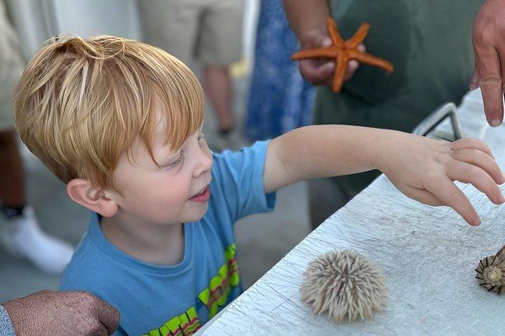 Dolphin & Sealife Cruise at Crazy Sister Marina