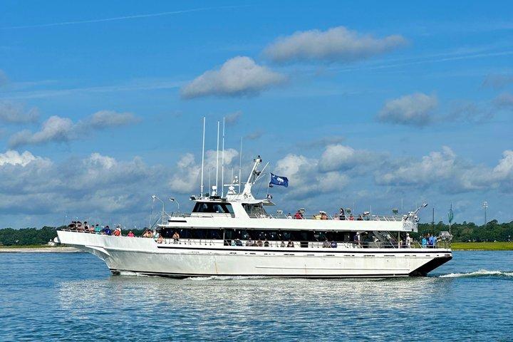 Dolphin & Sealife Cruise at Crazy Sister Marina