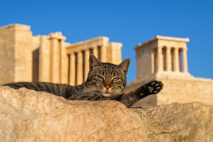 Athens: Acropolis Small Group (Max: 8) Guided Tour