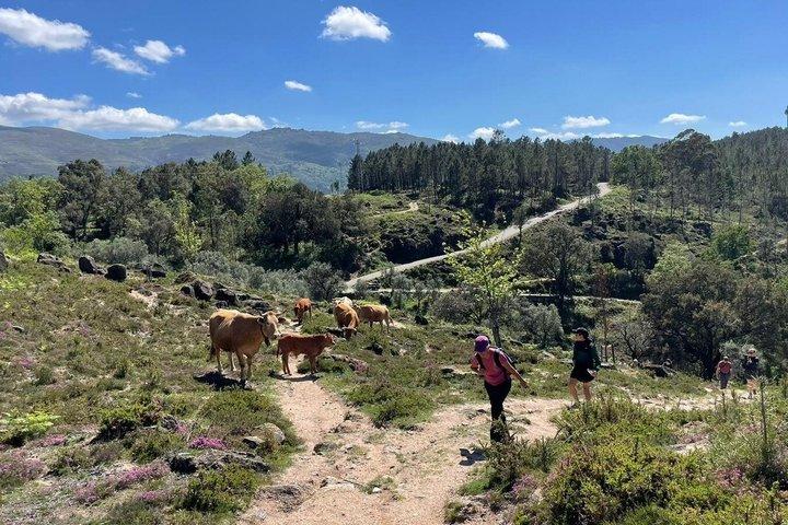Private Geres National Park Tour with Lunch and Transfers