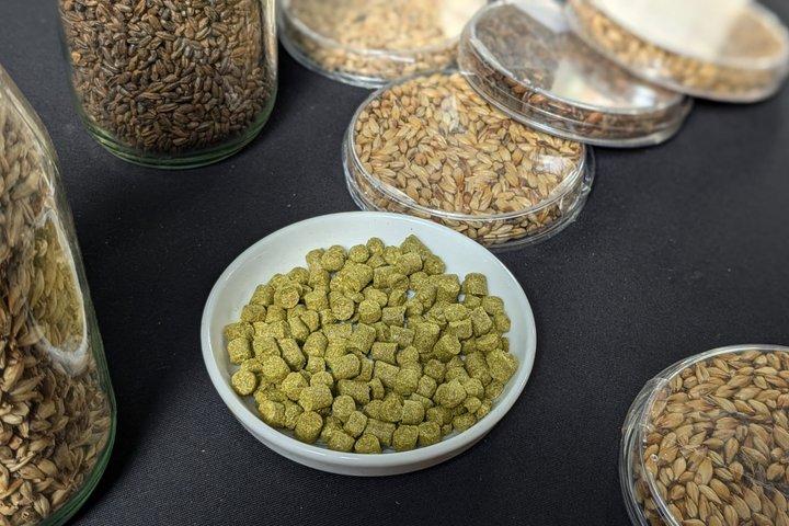 Beer Tasting Workshop at a Brussels Microbrewery