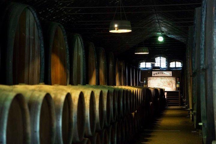 From Lisbon: Arrábida Wine, Coast & Traditions Small-Group Tour