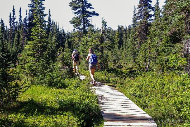 Garibaldi Lake Hike & Photography