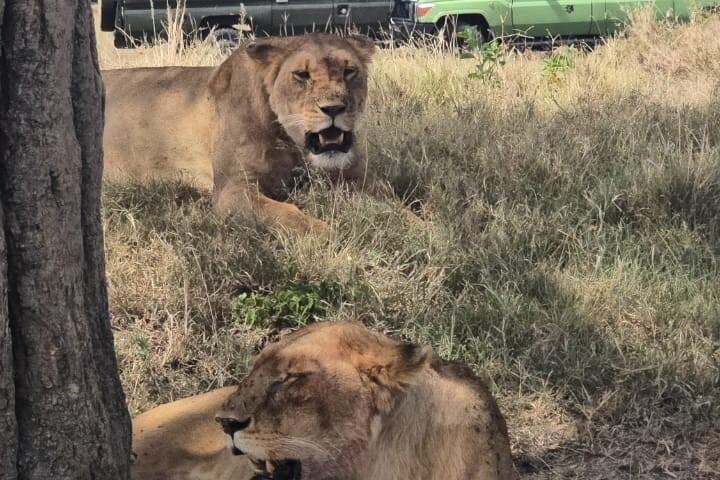 6 Days Safari Adventure in Maasai Mara