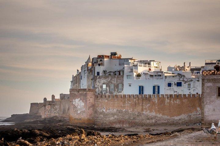 Essaouira Day Trip from Marrakech Coastal Escape and Medina Visit