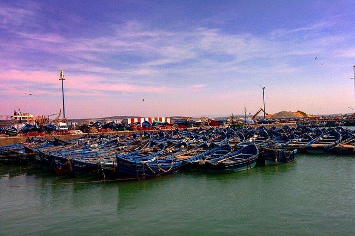 Essaouira Day Trip from Marrakech Coastal Escape and Medina Visit