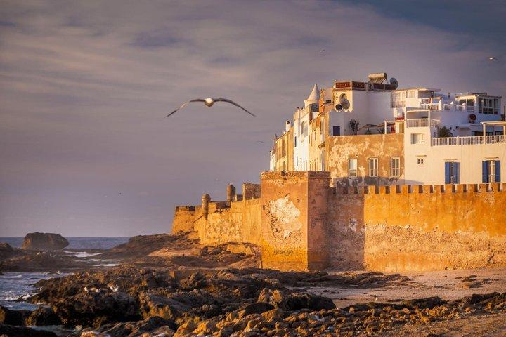 Essaouira Day Trip from Agadir Guided Medina and Coastal Escape