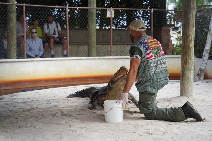 Everglades Express From Miami with Safari Airboat Ride