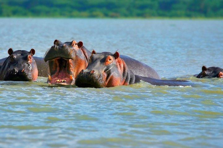 Nairobi Private Lake Naivasha Hells Gate Tour