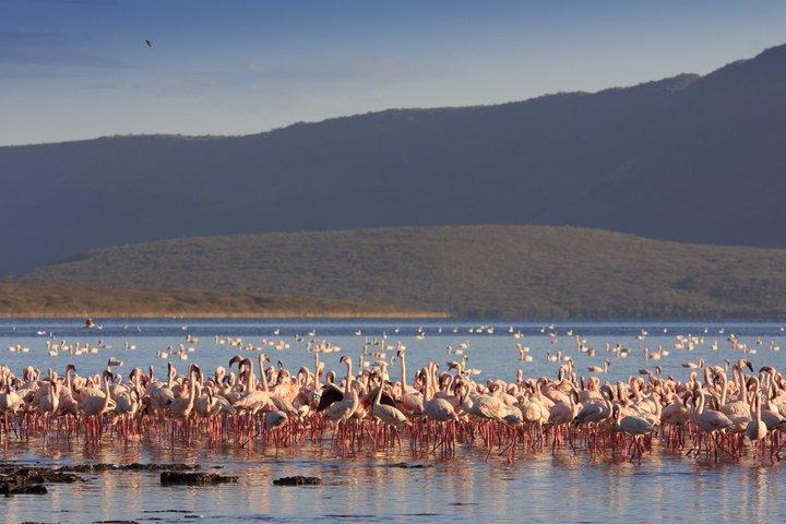Nairobi Private Lake Naivasha Hells Gate Tour