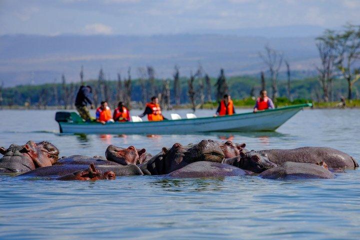 Nairobi Private Lake Naivasha Hells Gate Tour