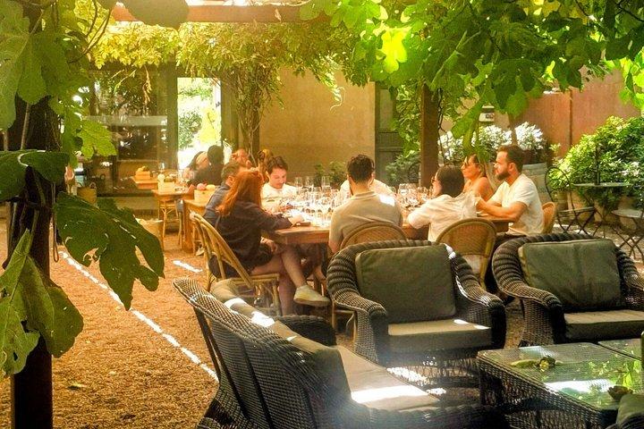 Private Mendoza WineTour: 3 Premium Wineries Michelin-Guide Lunch