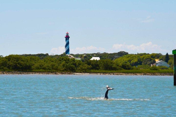 St. Augustine Dolphin Watch and Historical Harbor Tour