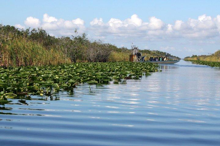 Miami Everglades Airboat Tour with Wildlife Show and Transport