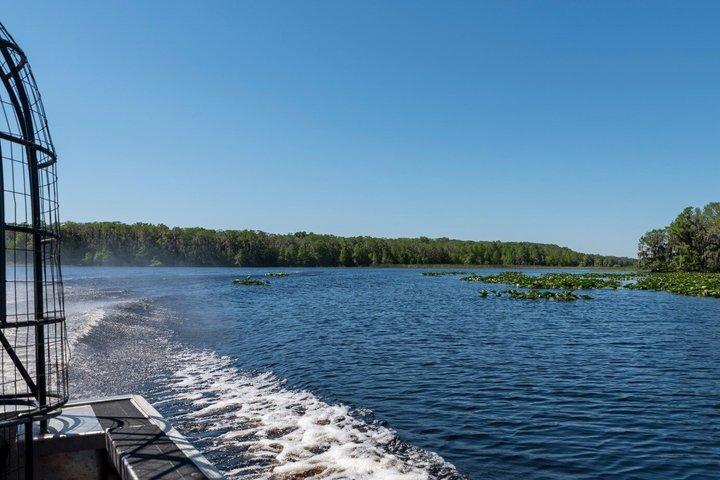 Miami Everglades Airboat Tour with Wildlife Show and Transport