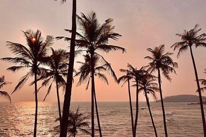14 Days Tailor Made Tour in Sri Lankan