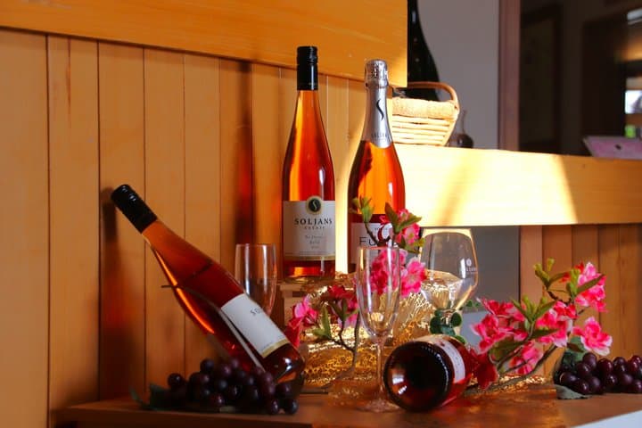 Kumeu Wine Tasting & Local Flavours Tour: Vines, Brews & Views