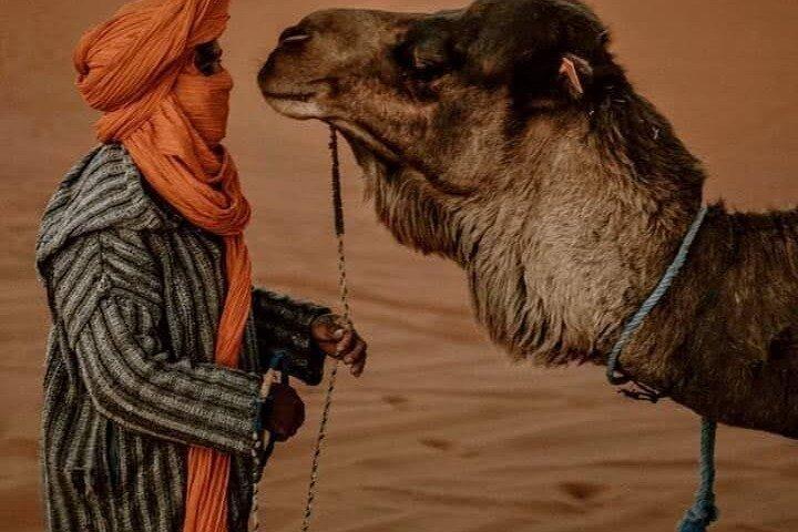 Private 3-Day Desert Tour Marrakech to Merzouga