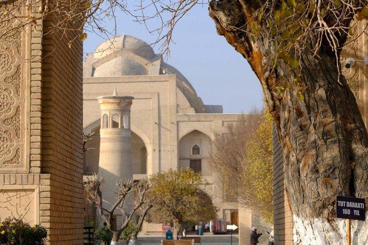 2 Days Bullet Train Tour from Tashkent in Samarkand and Bukhara