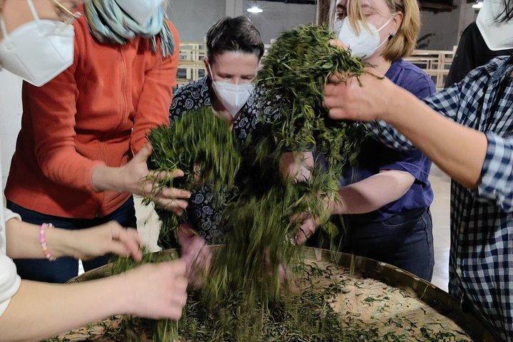 In-Depth Tea Tour: Visit Tea Farms, Taste Longjing & Meet Locals