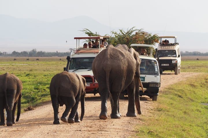 Nairobi 3 Day Amboseli Safari with Hot Air Balloon Ride