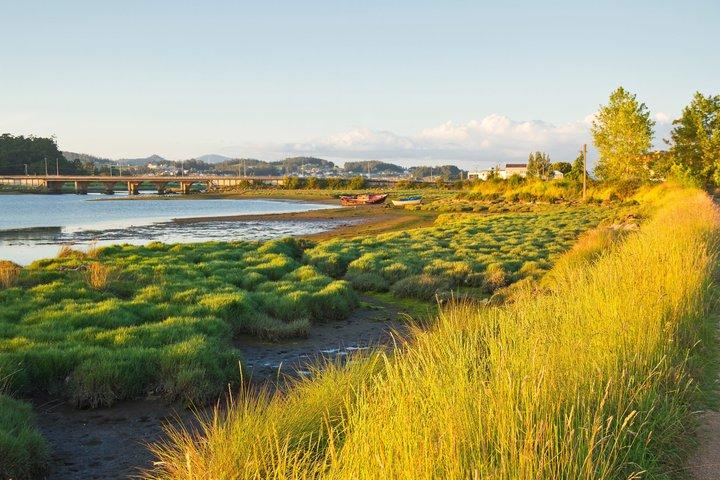 Santiago and A Coruña : Rias Baixas with Boat Tour and Tasting