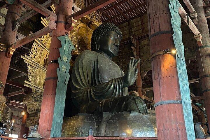 Nara Day Trip from Osaka with Deer Temple and Old Town Walk
