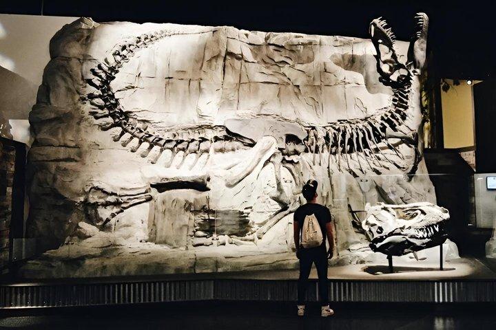 Private Day of Dinosaurs & Hoodoos from Calgary to Badlands