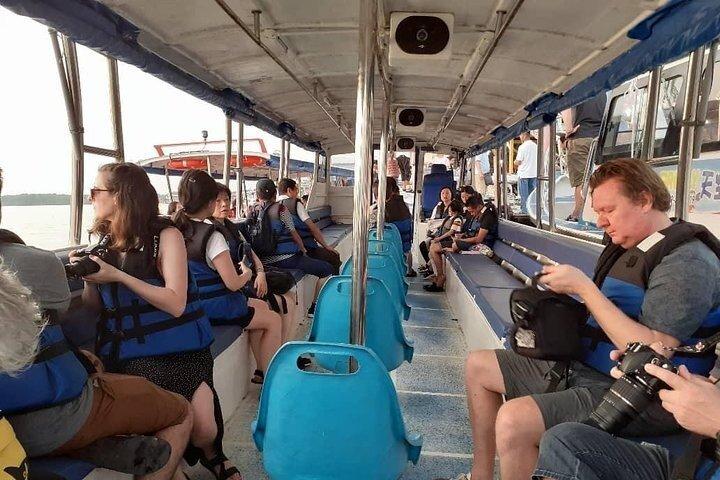 Kuala Lumpur to Kuala Selangor Magical Fireflies Tour