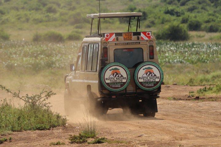 8 days Kenya wildlife JEEP Safari holiday