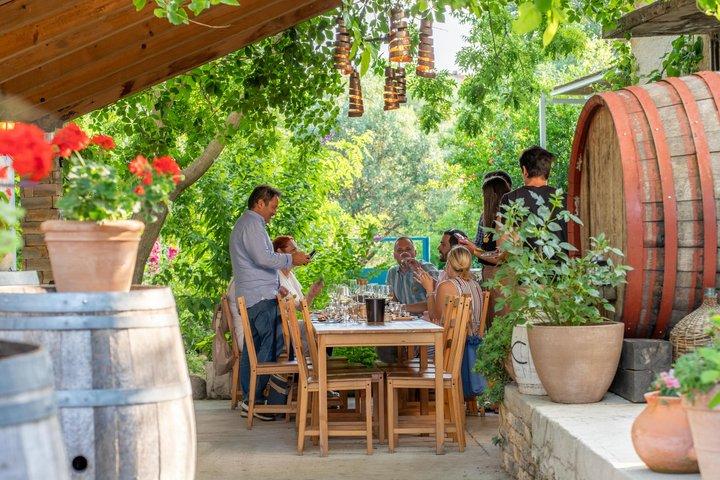 Krka and optional Wine Tasting Private Excursion from Split Area