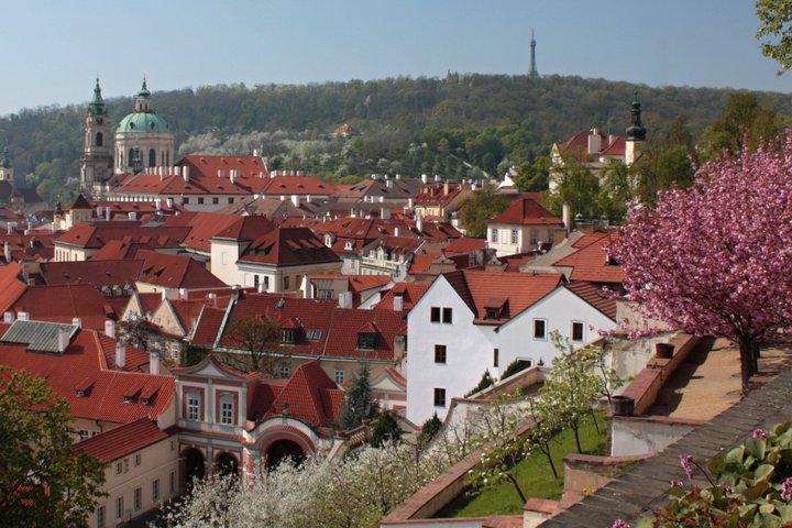 Prague Essentials & Lunch Cruise with a Cultured Guide