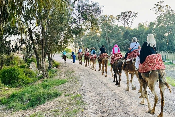 Camel Ride in Agadir & option at Sunset with BBQ and Couscous
