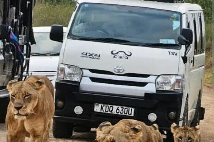 Ultimate Kenya Safari & Culture Tour | Maasai Mara,Beachs & More
